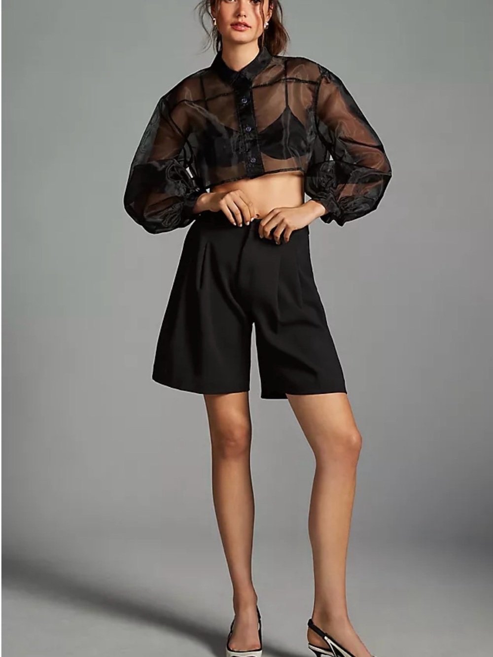 Anthropologie Sheer Black Cropped Blouse